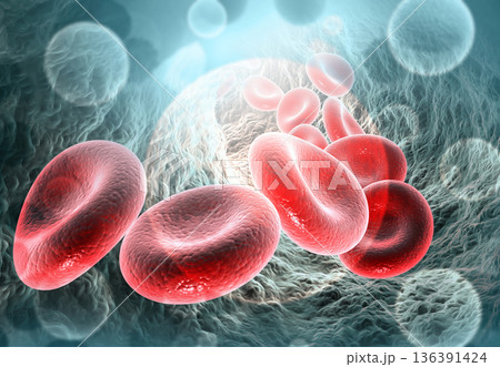 Red blood cells in vein Red blood cells in vein 136391424