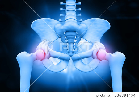 3d illustration of hip skeleton 136391474