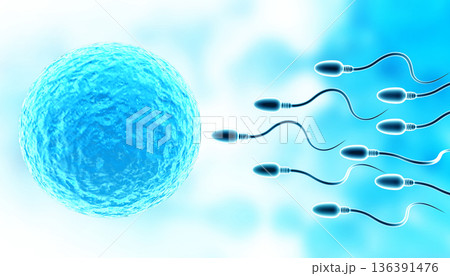 Sperm with egg on abstract medical background 136391476