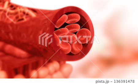 Blood cells in artery 136391478