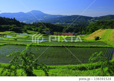 山古志の棚田棚池 136391528