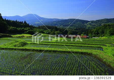 山古志の棚田棚池 136391529