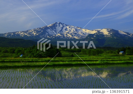 鳥海山と田んぼに映る逆さ鳥海高原 鳥海山と田んぼに映る逆さ鳥海高原 136391571