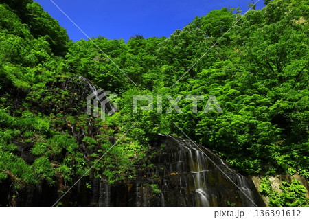 新緑に包まれた滝 136391612