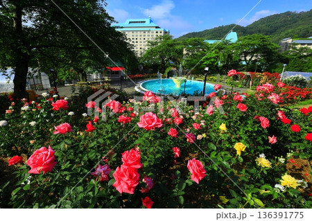 バラが咲き乱れる花巻温泉のバラ園 バラが咲き乱れる花巻温泉のバラ園 136391775