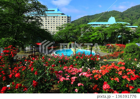 バラが咲き乱れる花巻温泉のバラ園 136391776