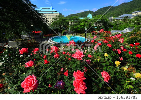バラが咲き乱れる花巻温泉のバラ園 136391785