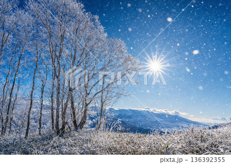 朝日に照らされた雪景色 136392355