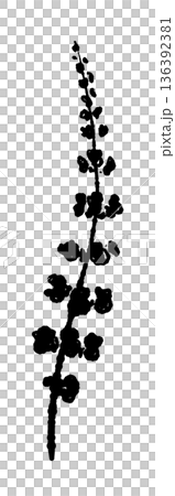 Monochrome illustration and silhouette of the flower spike of shiso (perilla sac) - a plant spike used as a garnish for sashimi or as a decoration Monochrome illustration and silhouette of the flower spike of shiso (perilla sac) - a plant spike used as a garnish for sashimi or as a decoration 136392381