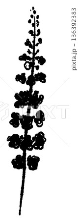 真っ直ぐな穂紫蘇（花穂）のモノクロイラスト・シルエット 薬味や彩りのアイコン 136392383