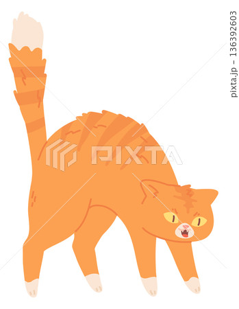 Hissing cat. Scared animal. Angry pet icon Hissing cat. Scared animal. Angry pet icon 136392603
