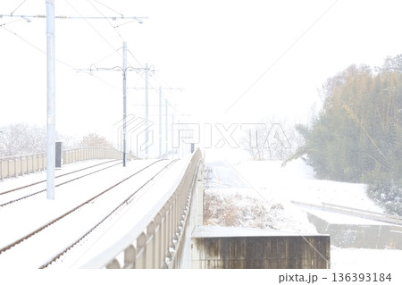 宇都宮ライトレールと真っ白な大雪 宇都宮ライトレールと真っ白な大雪 136393184