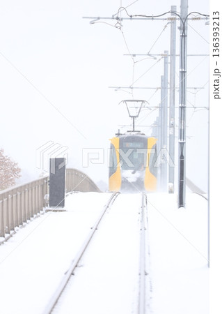 宇都宮ライトレールと真っ白な大雪 宇都宮ライトレールと真っ白な大雪 136393213