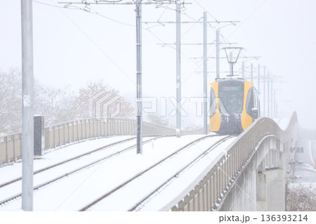 宇都宮ライトレールと真っ白な大雪 宇都宮ライトレールと真っ白な大雪 136393214