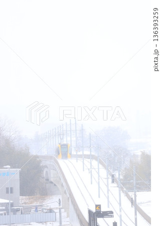 宇都宮ライトレールと真っ白な大雪 宇都宮ライトレールと真っ白な大雪 136393259