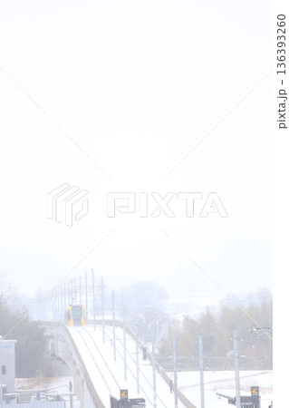 宇都宮ライトレールと真っ白な大雪 宇都宮ライトレールと真っ白な大雪 136393260