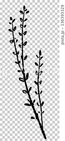 Monochrome illustration of two thyme stems lined up Silhouette for cooking background or accent Monochrome illustration of two thyme stems lined up Silhouette for cooking background or accent 136393329