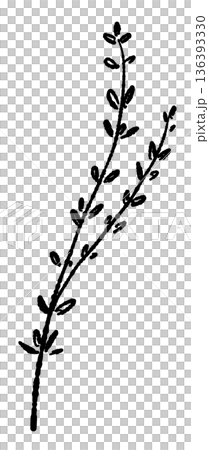 Monochrome illustration of crossed thyme branches. Silhouette material suitable for casual decoration. Monochrome illustration of crossed thyme branches. Silhouette material suitable for casual decoration. 136393330