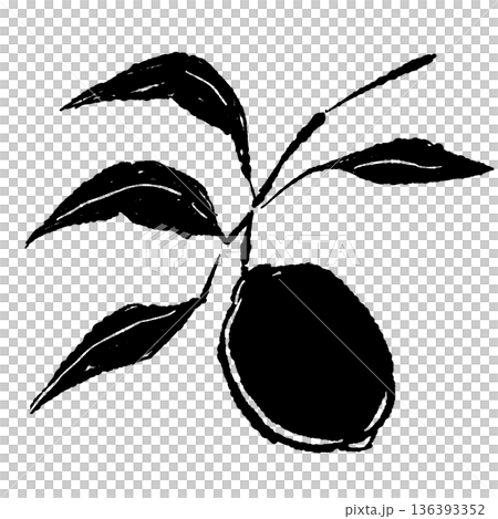 Monochrome illustration of lemons growing on a branch. Silhouette material of fruit with leaves and branches. 136393352