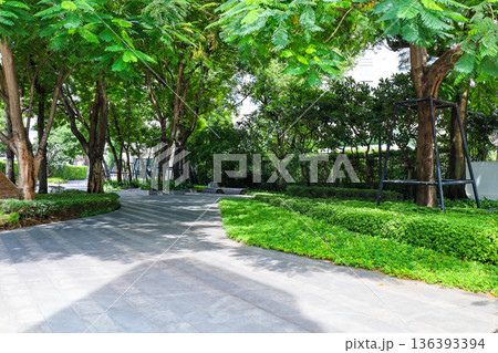 緑の多いビルのエントランス 緑の多いビルのエントランス 136393394