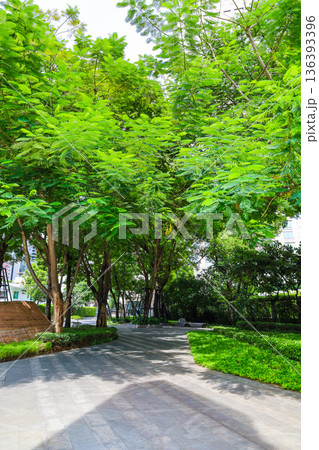 緑の多いビルのエントランス 緑の多いビルのエントランス 136393396