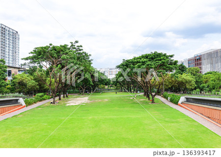 緑のある都会の公園の風景 緑のある都会の公園の風景 136393417