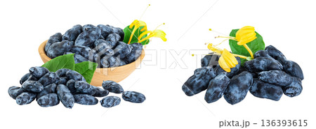 Fresh honeysuckle blue berry in wooden bowl isolated on white background with full depth of field Fresh honeysuckle blue berry in wooden bowl isolated on white background with full depth of field 136393615