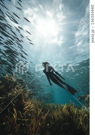 Freedivers floating peacefully above a seagrass meadow while observing schools of fish darting below them. 136393660