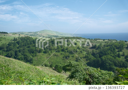 海へ続く緑の丘 青空の下を走る爽やかな道 海へ続く緑の丘 青空の下を走る爽やかな道 136393727