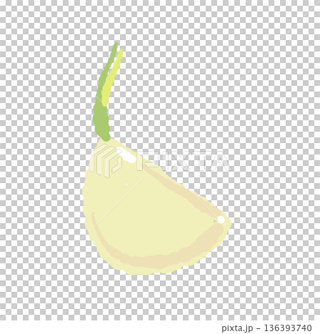 Illustration of a sprouted garlic clove, peeled and ready for cooking Illustration of a sprouted garlic clove, peeled and ready for cooking 136393740