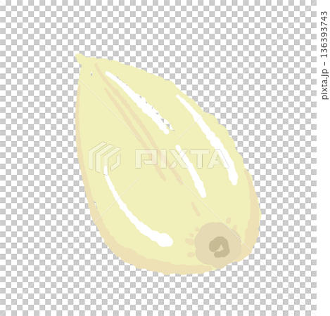 圖示為一塊帶皮大蒜，在烹飪前切成小塊 136393743