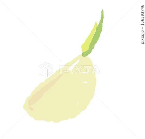 半分に切ったにんにくの一片のイラスト 芯や芽が見える断面素材 半分に切ったにんにくの一片のイラスト 芯や芽が見える断面素材 136393746