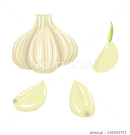 にんにくのホールと一片のセットイラスト 丸ごとと小分けの組み合わせ素材 136393751