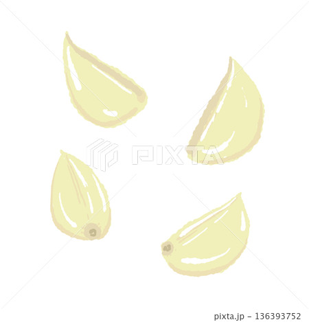 複数の皮むきにんにくのイラスト 料理に使う数粒のガーリック素材 136393752