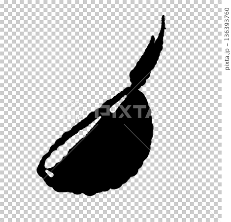 Monochrome illustration of a piece of garlic cut in half, cross-section silhouette showing the core and buds 136393760