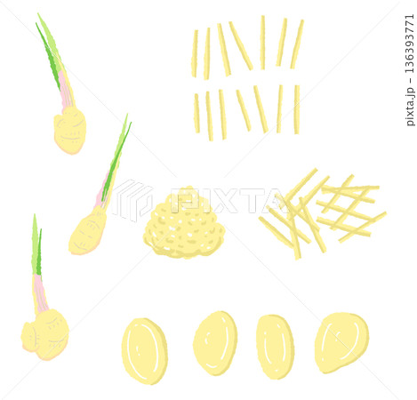生姜の調理カットセット 葉生姜・スライス・千切り・みじん切りの素材 生姜の調理カットセット 葉生姜・スライス・千切り・みじん切りの素材 136393771