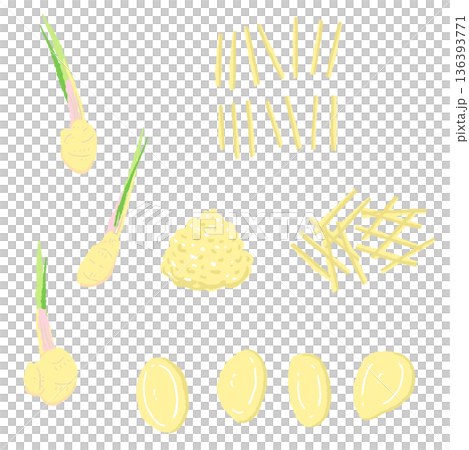 生姜の調理カットセット 葉生姜・スライス・千切り・みじん切りの素材 生姜の調理カットセット 葉生姜・スライス・千切り・みじん切りの素材 136393771