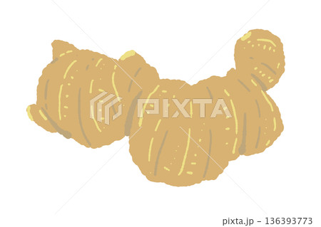 根生姜(ひね生姜)のイラスト ゴツゴツした一般的な塊の生姜 根生姜(ひね生姜)のイラスト ゴツゴツした一般的な塊の生姜 136393773