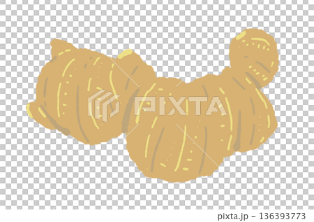 根生姜(ひね生姜)のイラスト ゴツゴツした一般的な塊の生姜 根生姜(ひね生姜)のイラスト ゴツゴツした一般的な塊の生姜 136393773