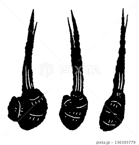 葉生姜（谷中生姜）のモノクロイラスト 茎付きのシルエット素材 136393779