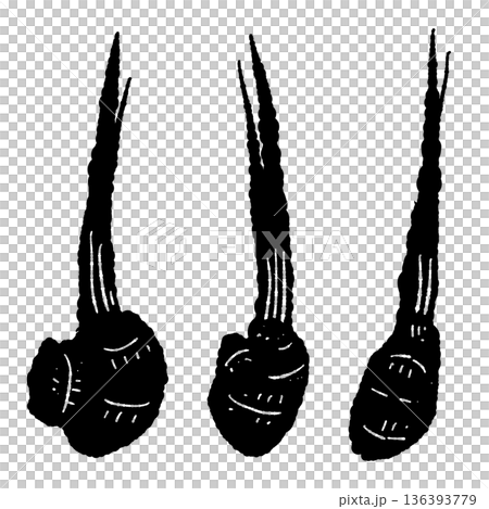 葉生姜（谷中生姜）のモノクロイラスト 茎付きのシルエット素材 136393779