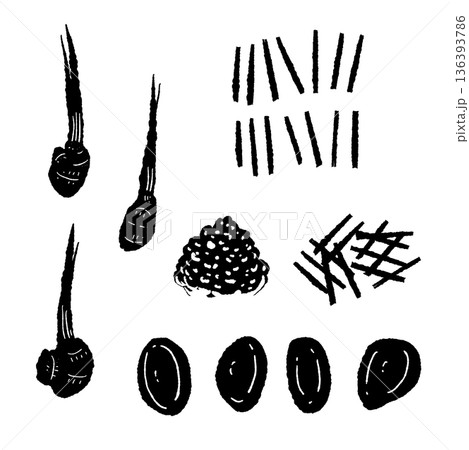 生姜の調理カットセット モノクロ スライス・千切り・みじん切りの素材 生姜の調理カットセット モノクロ スライス・千切り・みじん切りの素材 136393786