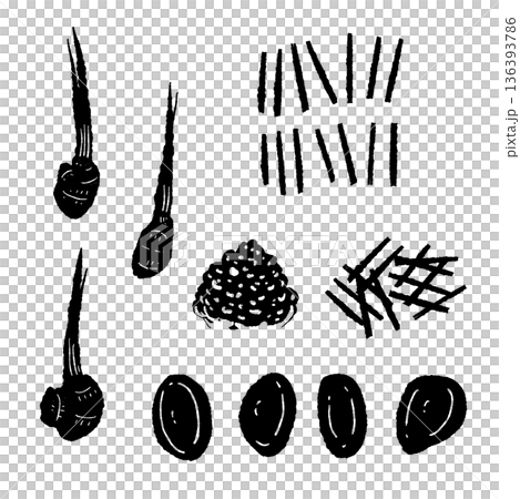 生姜の調理カットセット モノクロ スライス・千切り・みじん切りの素材 生姜の調理カットセット モノクロ スライス・千切り・みじん切りの素材 136393786