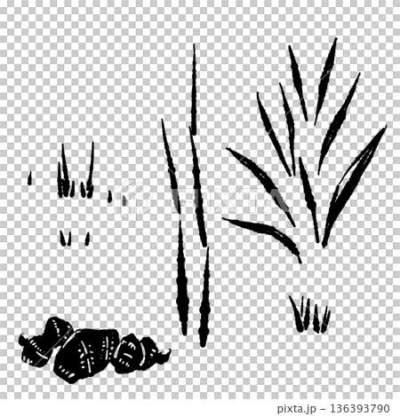 生姜の栽培・成長パーツセット モノクロ 葉・茎・根の植物シルエット 136393790