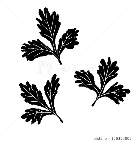 散らしたパクチーの葉のモノクロイラスト サラダや麺類のトッピングアイコン 136393803