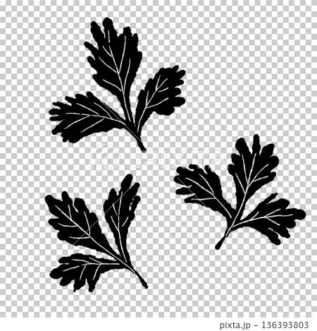 散らしたパクチーの葉のモノクロイラスト サラダや麺類のトッピングアイコン 136393803