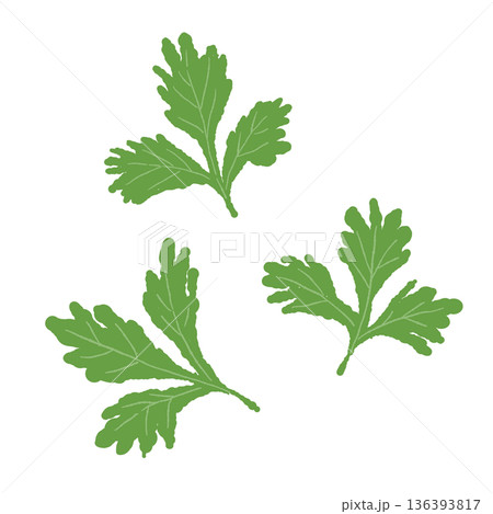 散らしたパクチーの葉のイラスト サラダや麺類のトッピング素材 136393817