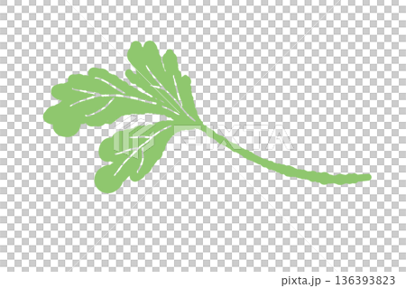 嫩香菜葉插圖,顏色柔和的草本植物 嫩香菜葉插圖,顏色柔和的草本植物 136393823