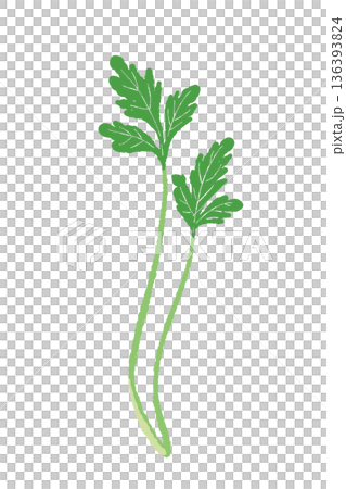圖中展示了兩根並排擺放的香菜莖。細長的香草切片。 圖中展示了兩根並排擺放的香菜莖。細長的香草切片。 136393824