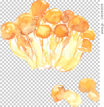 水彩蘑菇插圖,向量圖 水彩蘑菇插圖,向量圖 136393839